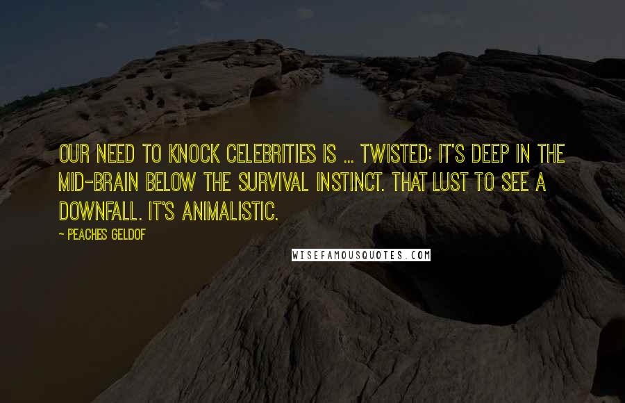 Peaches Geldof Quotes: Our need to knock celebrities is ... Twisted: it's deep in the mid-brain below the survival instinct. That lust to see a downfall. It's animalistic.