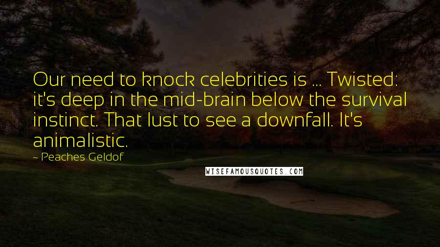 Peaches Geldof Quotes: Our need to knock celebrities is ... Twisted: it's deep in the mid-brain below the survival instinct. That lust to see a downfall. It's animalistic.