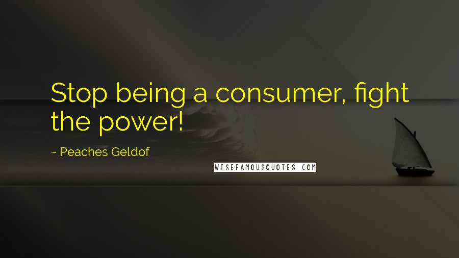 Peaches Geldof Quotes: Stop being a consumer, fight the power!
