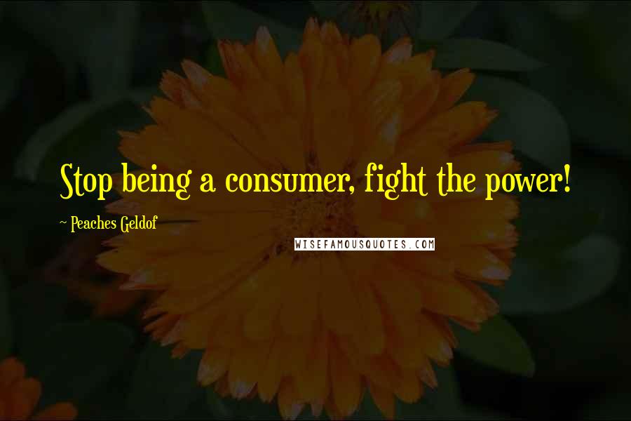 Peaches Geldof Quotes: Stop being a consumer, fight the power!