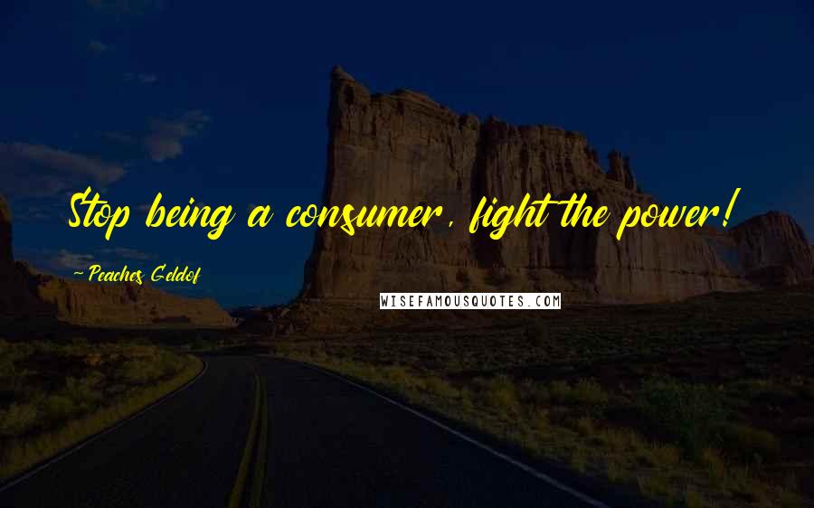Peaches Geldof Quotes: Stop being a consumer, fight the power!