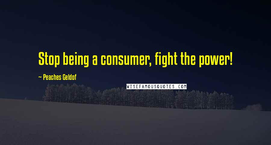 Peaches Geldof Quotes: Stop being a consumer, fight the power!