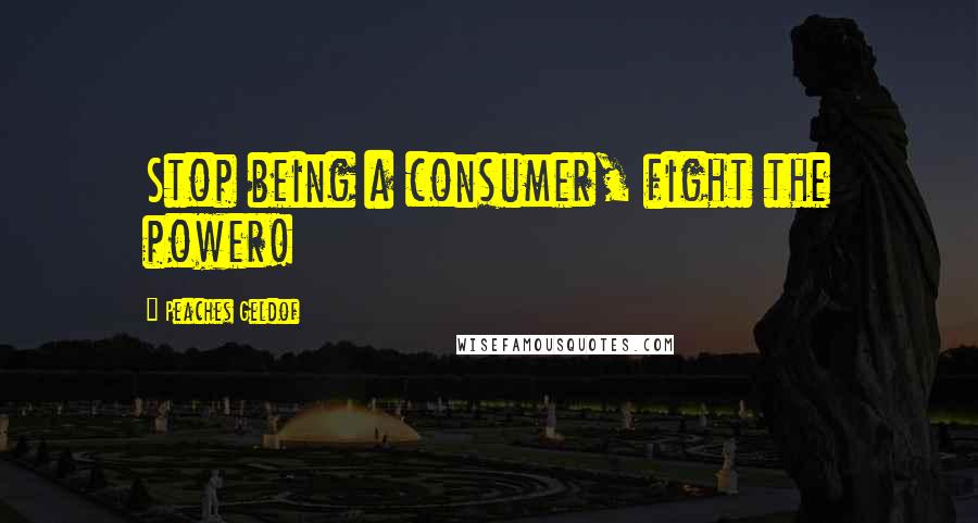 Peaches Geldof Quotes: Stop being a consumer, fight the power!