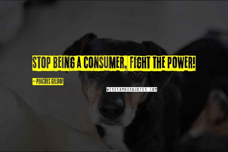 Peaches Geldof Quotes: Stop being a consumer, fight the power!