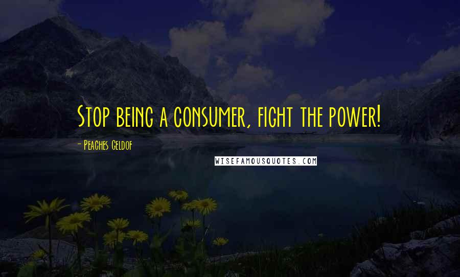 Peaches Geldof Quotes: Stop being a consumer, fight the power!