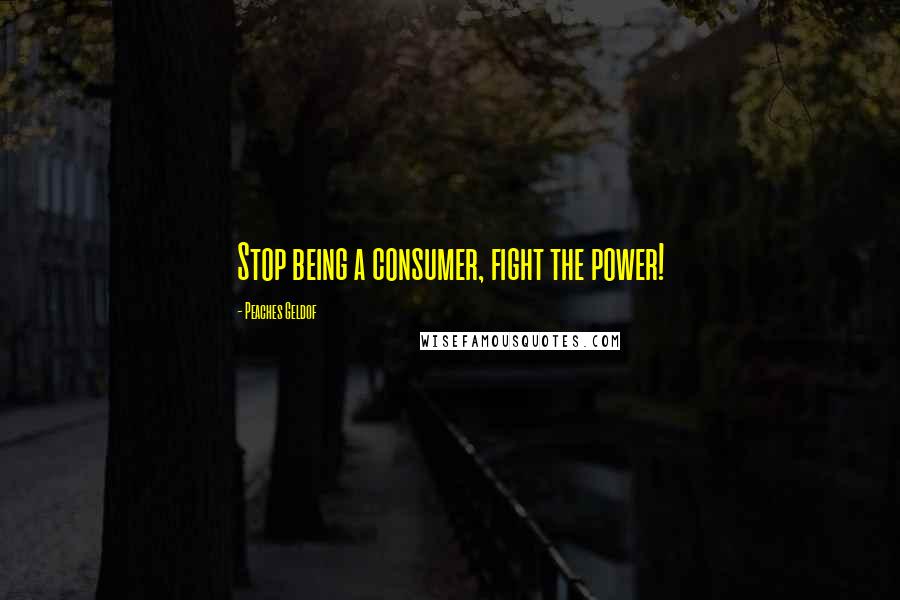 Peaches Geldof Quotes: Stop being a consumer, fight the power!