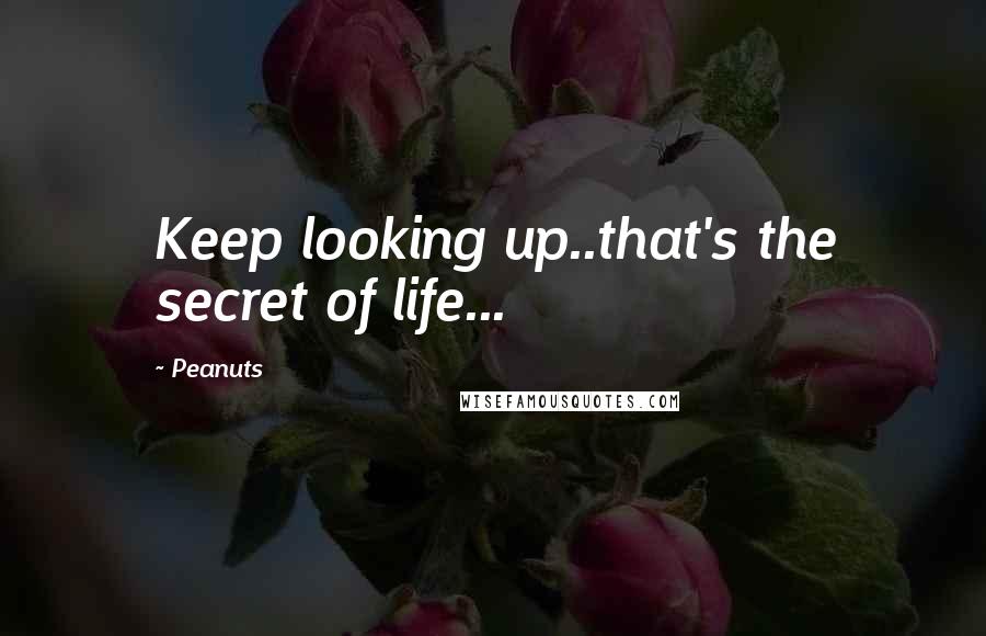 Peanuts Quotes: Keep looking up..that's the secret of life...