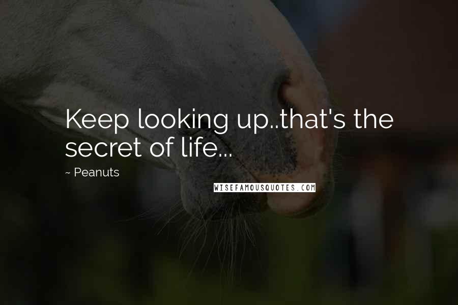 Peanuts Quotes: Keep looking up..that's the secret of life...