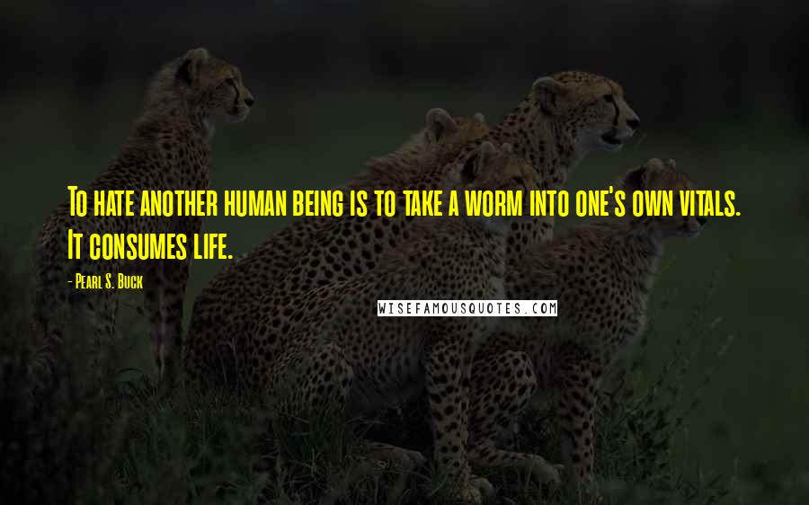 Pearl S. Buck Quotes: To hate another human being is to take a worm into one's own vitals. It consumes life.
