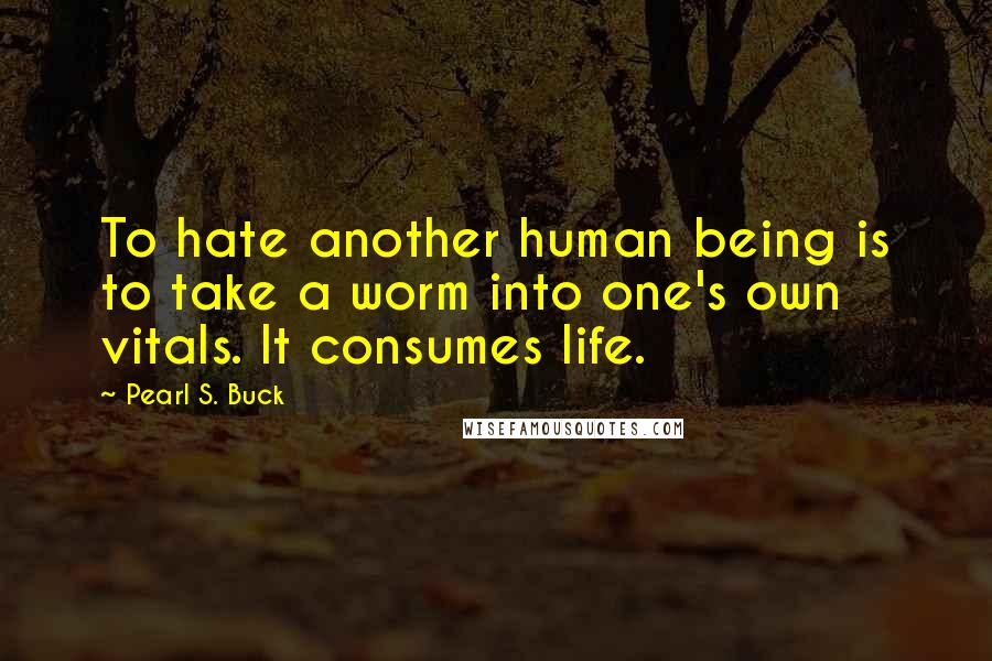 Pearl S. Buck Quotes: To hate another human being is to take a worm into one's own vitals. It consumes life.