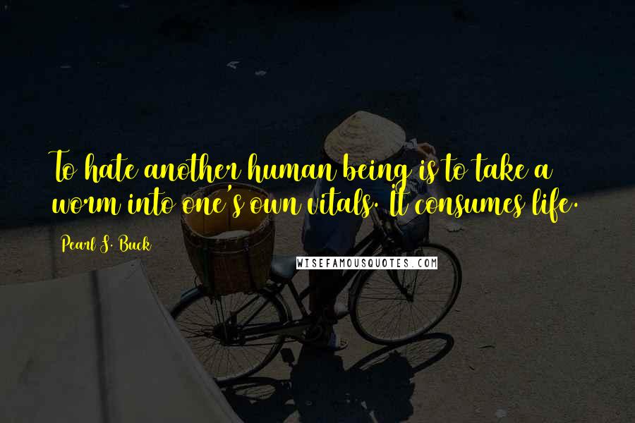 Pearl S. Buck Quotes: To hate another human being is to take a worm into one's own vitals. It consumes life.