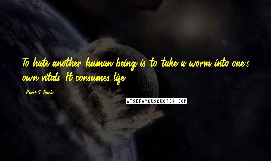 Pearl S. Buck Quotes: To hate another human being is to take a worm into one's own vitals. It consumes life.