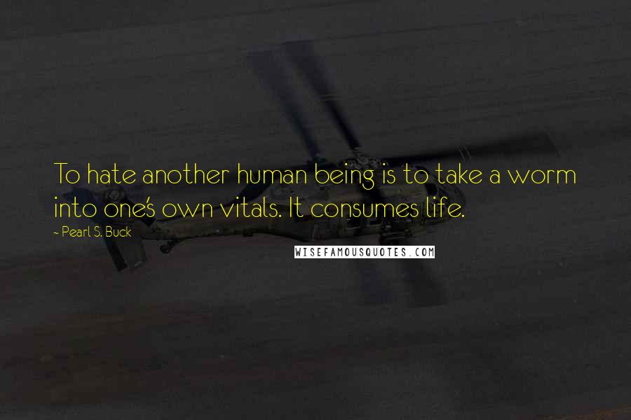 Pearl S. Buck Quotes: To hate another human being is to take a worm into one's own vitals. It consumes life.