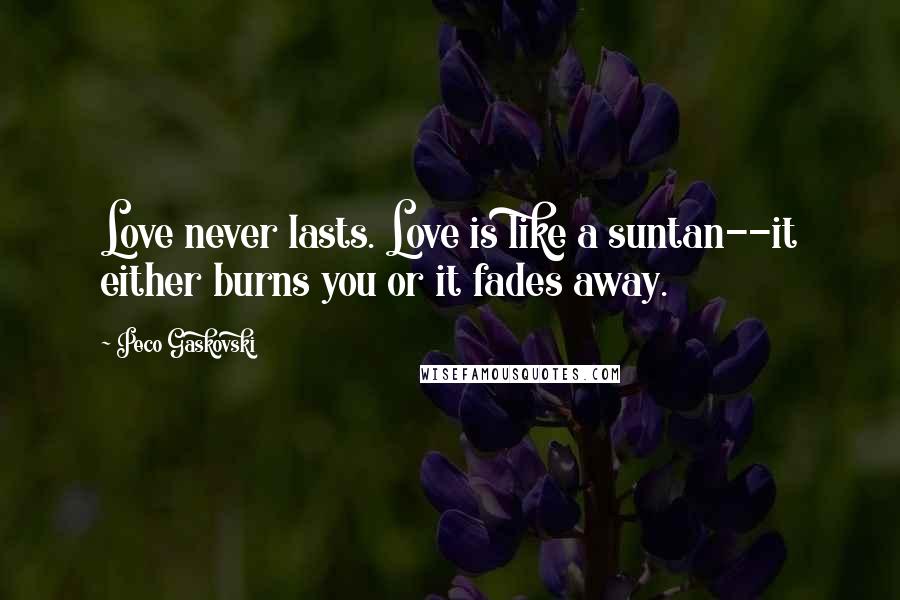 Peco Gaskovski Quotes: Love never lasts. Love is like a suntan--it either burns you or it fades away.