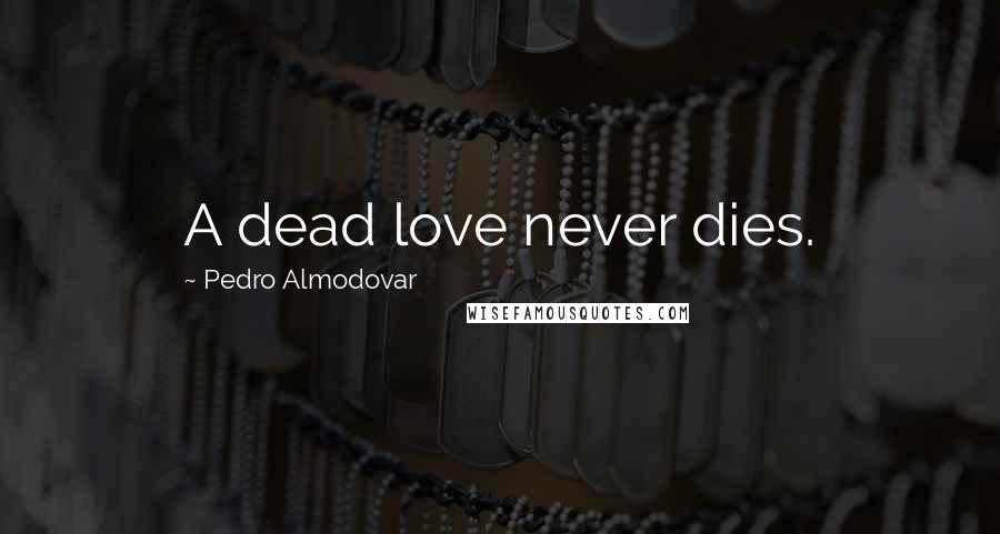 Pedro Almodovar Quotes: A dead love never dies.