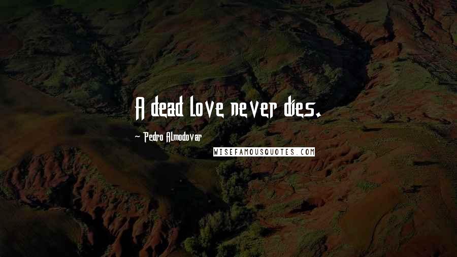 Pedro Almodovar Quotes: A dead love never dies.