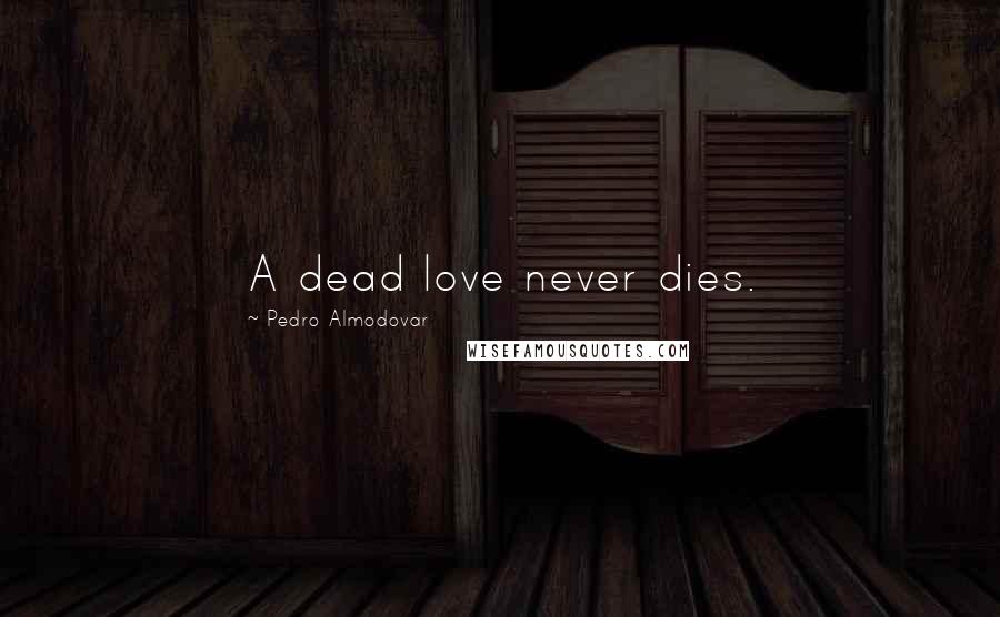 Pedro Almodovar Quotes: A dead love never dies.