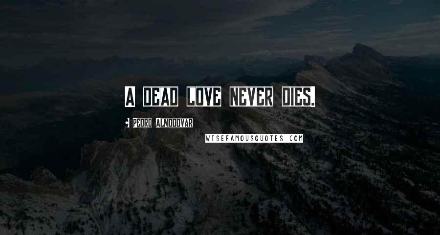 Pedro Almodovar Quotes: A dead love never dies.