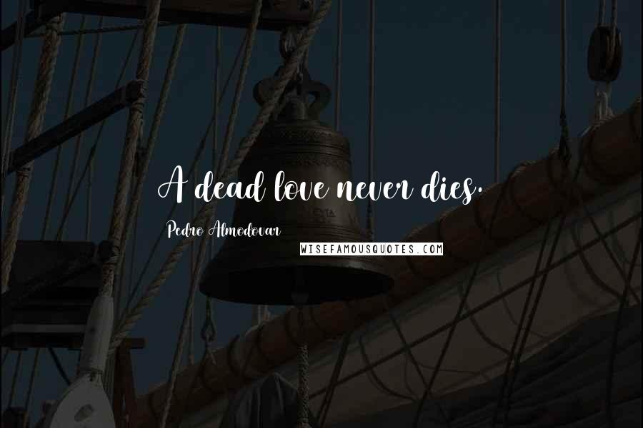 Pedro Almodovar Quotes: A dead love never dies.