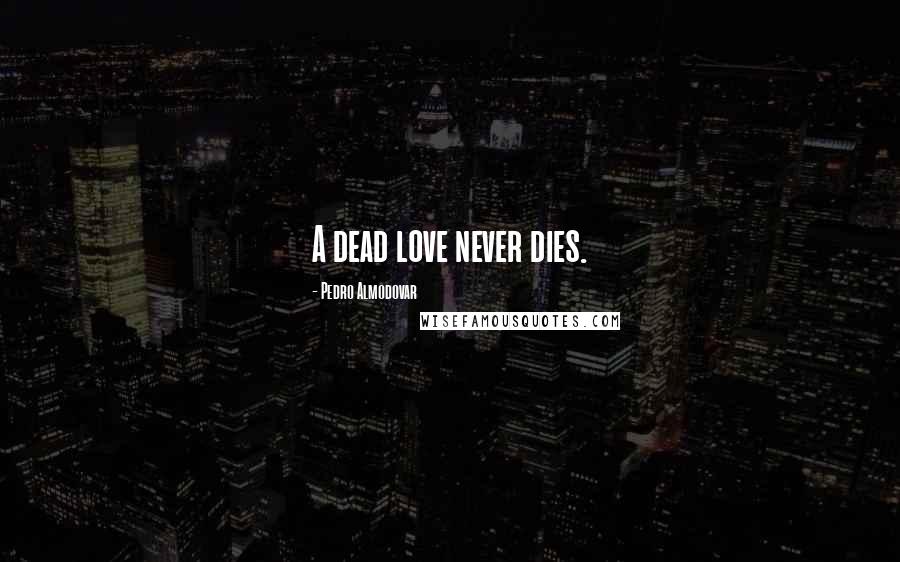 Pedro Almodovar Quotes: A dead love never dies.