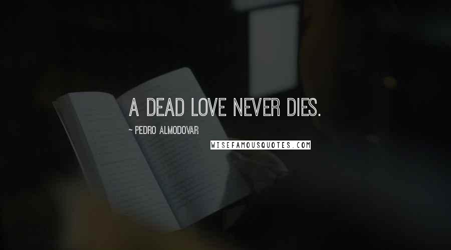 Pedro Almodovar Quotes: A dead love never dies.