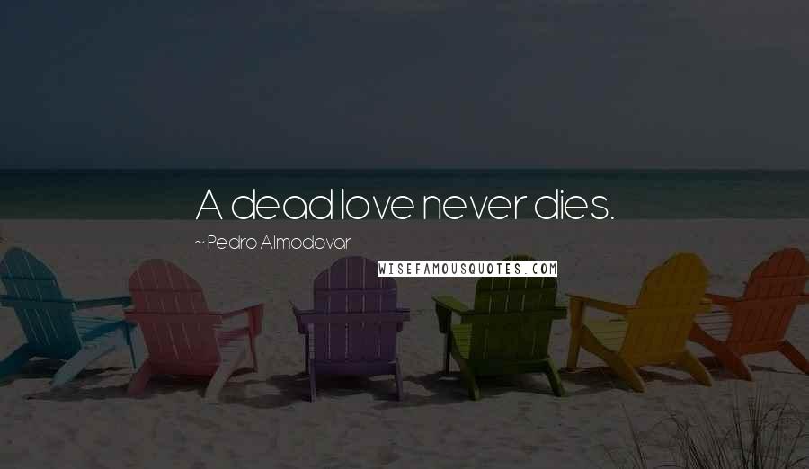 Pedro Almodovar Quotes: A dead love never dies.