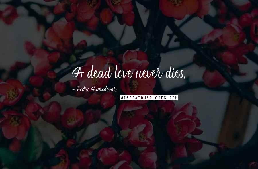 Pedro Almodovar Quotes: A dead love never dies.