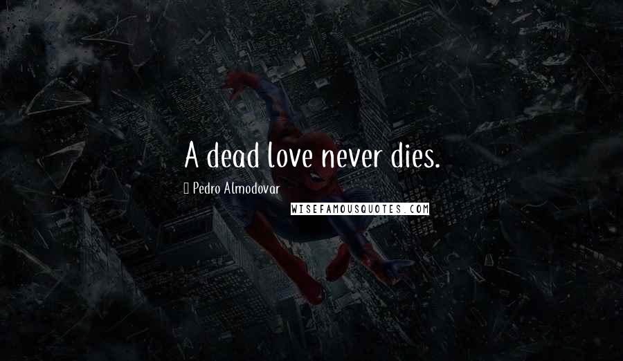 Pedro Almodovar Quotes: A dead love never dies.