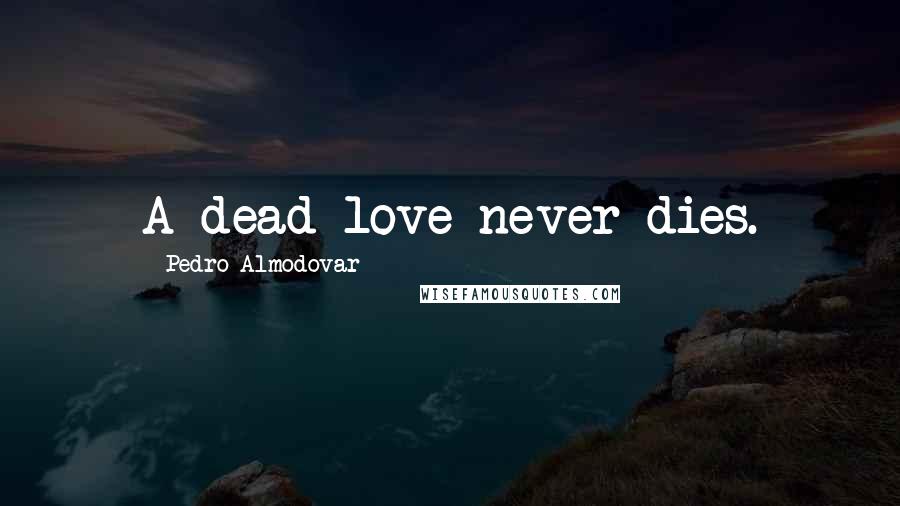Pedro Almodovar Quotes: A dead love never dies.