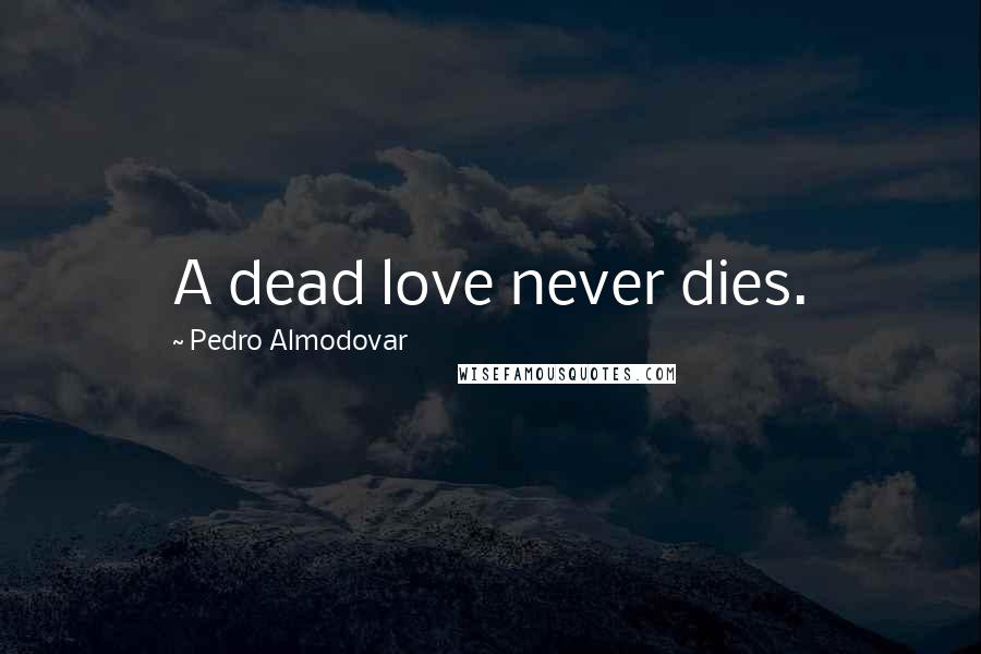 Pedro Almodovar Quotes: A dead love never dies.