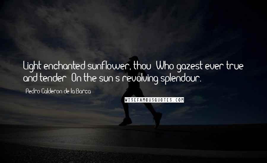 Pedro Calderon De La Barca Quotes: Light-enchanted sunflower, thou  Who gazest ever true and tender  On the sun's revolving splendour.