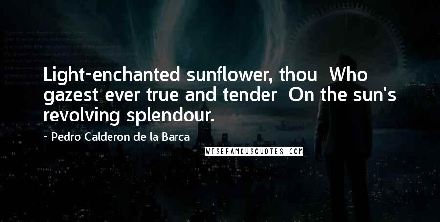 Pedro Calderon De La Barca Quotes: Light-enchanted sunflower, thou  Who gazest ever true and tender  On the sun's revolving splendour.