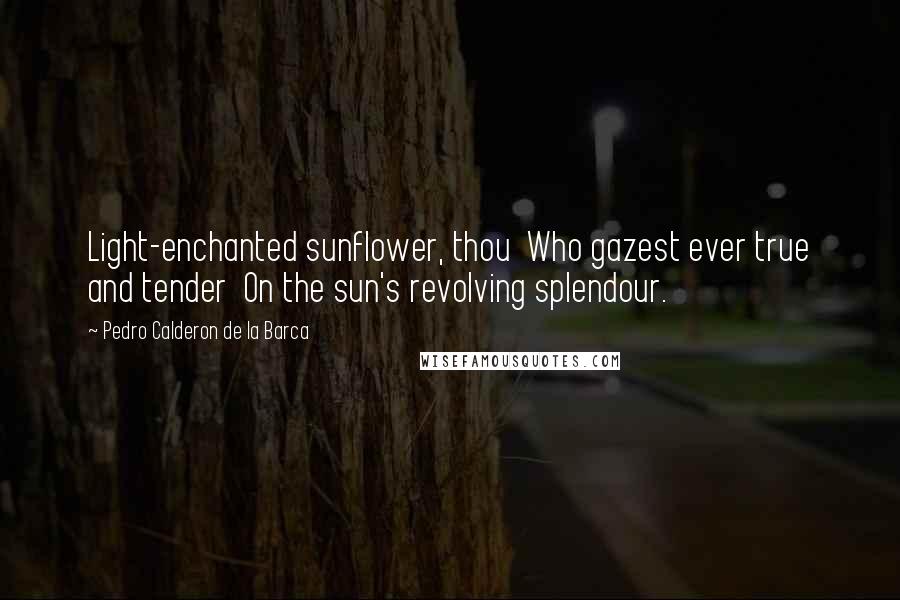 Pedro Calderon De La Barca Quotes: Light-enchanted sunflower, thou  Who gazest ever true and tender  On the sun's revolving splendour.