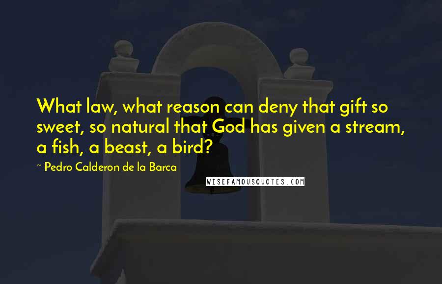 Pedro Calderon De La Barca Quotes: What law, what reason can deny that gift so sweet, so natural that God has given a stream, a fish, a beast, a bird?