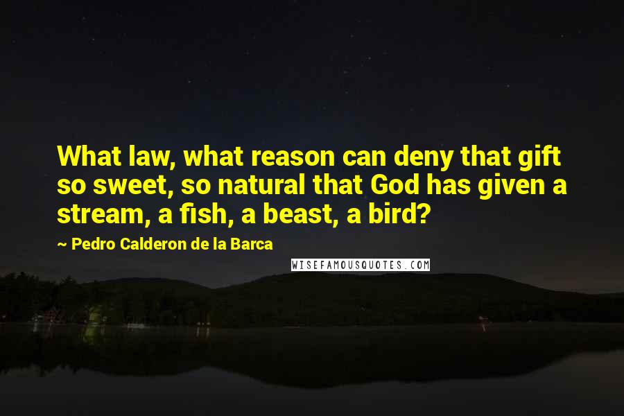 Pedro Calderon De La Barca Quotes: What law, what reason can deny that gift so sweet, so natural that God has given a stream, a fish, a beast, a bird?