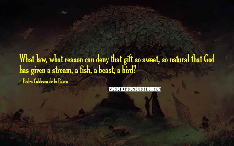 Pedro Calderon De La Barca Quotes: What law, what reason can deny that gift so sweet, so natural that God has given a stream, a fish, a beast, a bird?