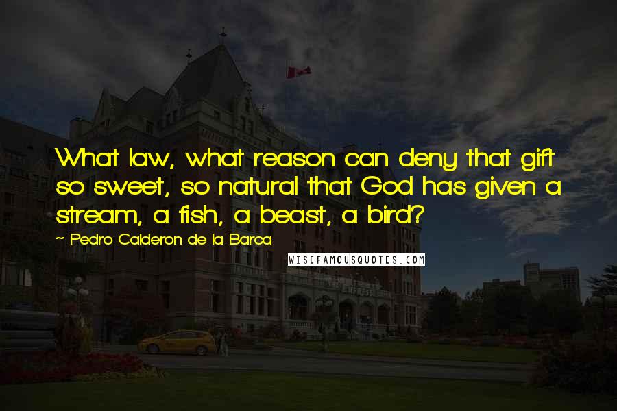 Pedro Calderon De La Barca Quotes: What law, what reason can deny that gift so sweet, so natural that God has given a stream, a fish, a beast, a bird?