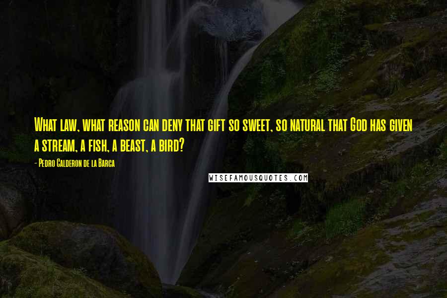 Pedro Calderon De La Barca Quotes: What law, what reason can deny that gift so sweet, so natural that God has given a stream, a fish, a beast, a bird?