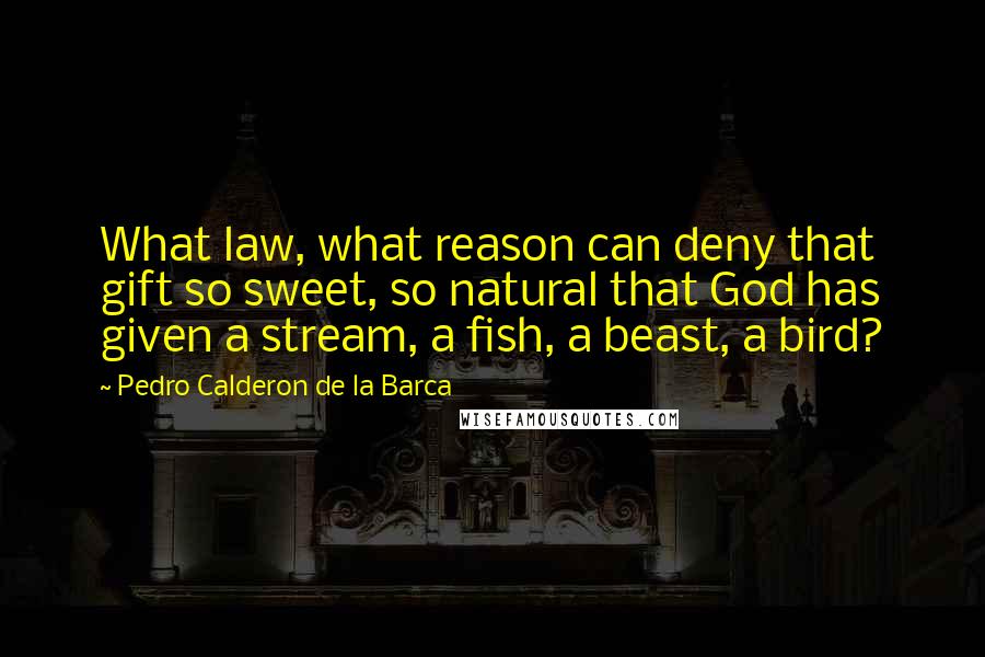 Pedro Calderon De La Barca Quotes: What law, what reason can deny that gift so sweet, so natural that God has given a stream, a fish, a beast, a bird?