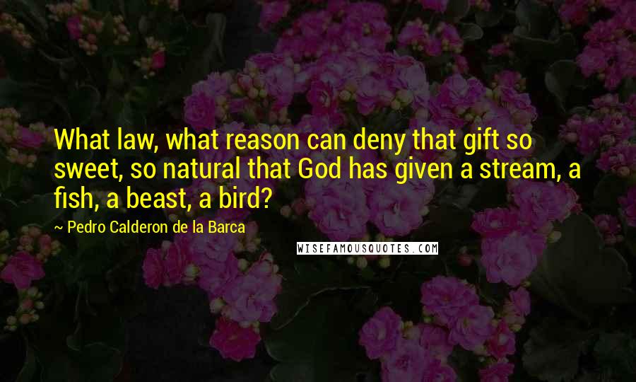 Pedro Calderon De La Barca Quotes: What law, what reason can deny that gift so sweet, so natural that God has given a stream, a fish, a beast, a bird?