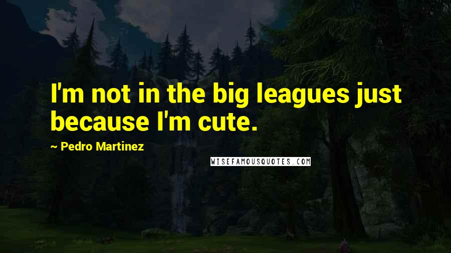 Pedro Martinez Quotes: I'm not in the big leagues just because I'm cute.