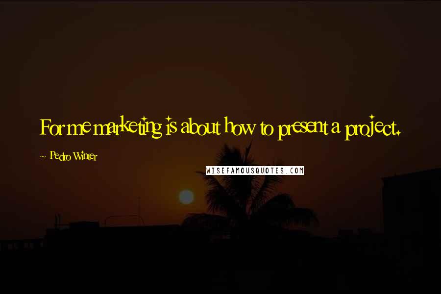 Pedro Winter Quotes: For me marketing is about how to present a project.