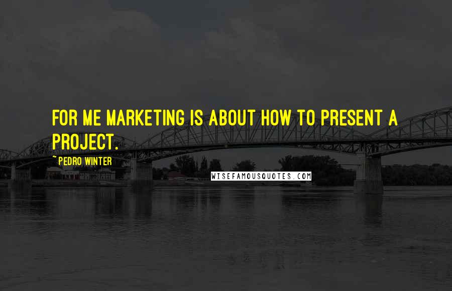 Pedro Winter Quotes: For me marketing is about how to present a project.