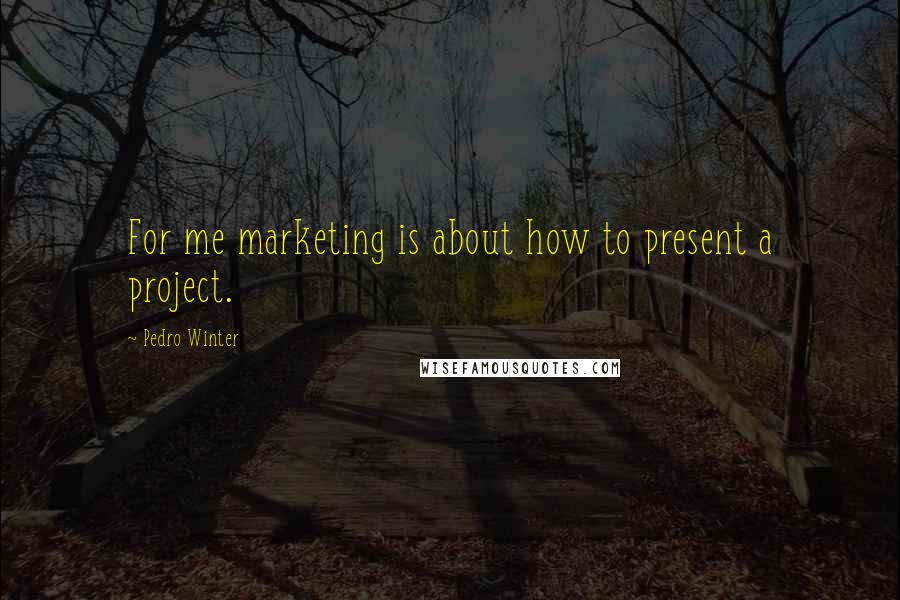 Pedro Winter Quotes: For me marketing is about how to present a project.