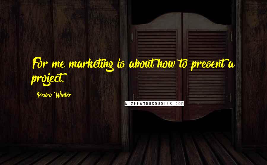 Pedro Winter Quotes: For me marketing is about how to present a project.