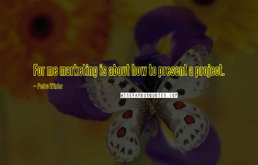 Pedro Winter Quotes: For me marketing is about how to present a project.