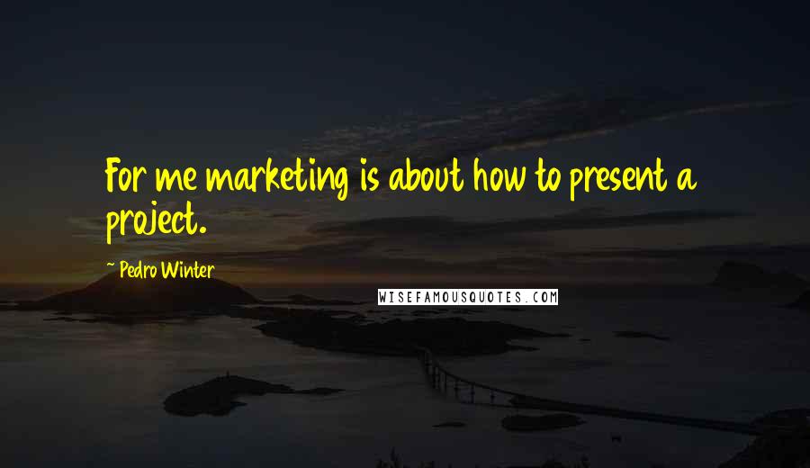 Pedro Winter Quotes: For me marketing is about how to present a project.