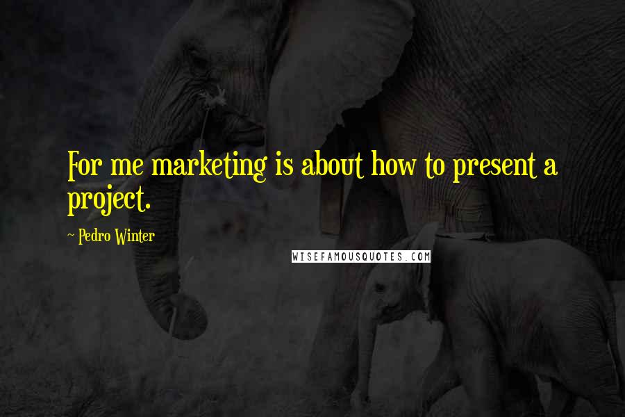 Pedro Winter Quotes: For me marketing is about how to present a project.