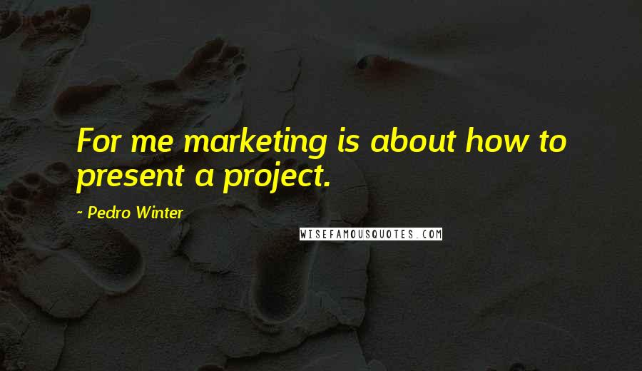 Pedro Winter Quotes: For me marketing is about how to present a project.