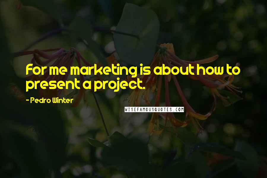Pedro Winter Quotes: For me marketing is about how to present a project.